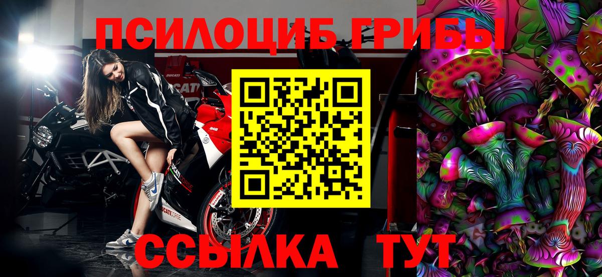 Псилоцибиновые грибы Psilocybine cubensis  Псилоцибиновые грибы MAGIC MUSHROOMS  наркотики  Сосновоборск  Вход с VPN 