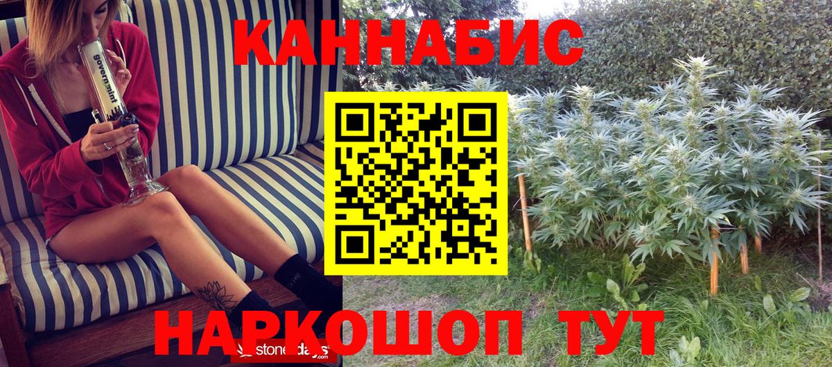 Шишки марихуана гибрид  Конопля семена  Сосновоборск  Марихуана конопля  Вход с VPN  Шишки марихуана MAZAR 